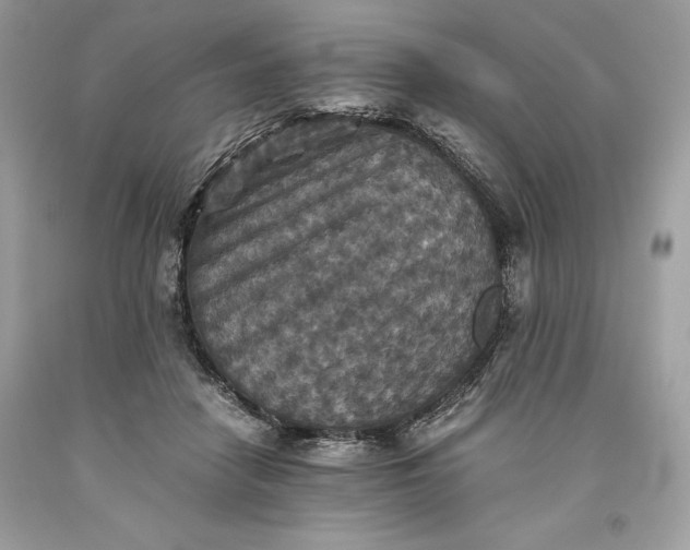 X0000093510458200710261201