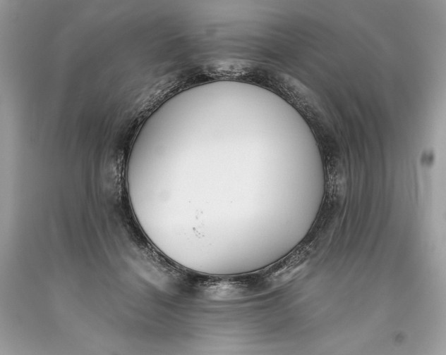 X0000093510460200710261201