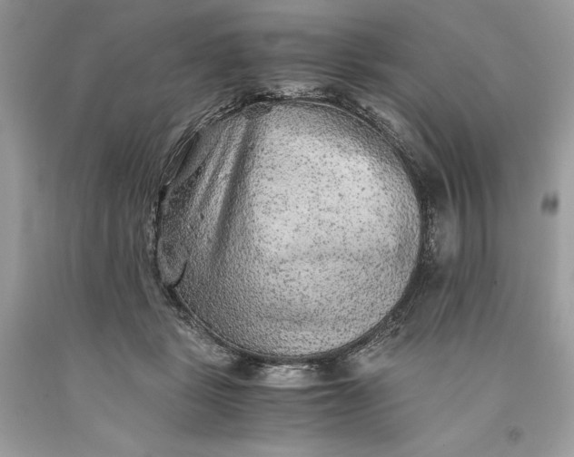 X0000093510461200710261201