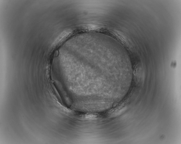 X0000093510462200710261201