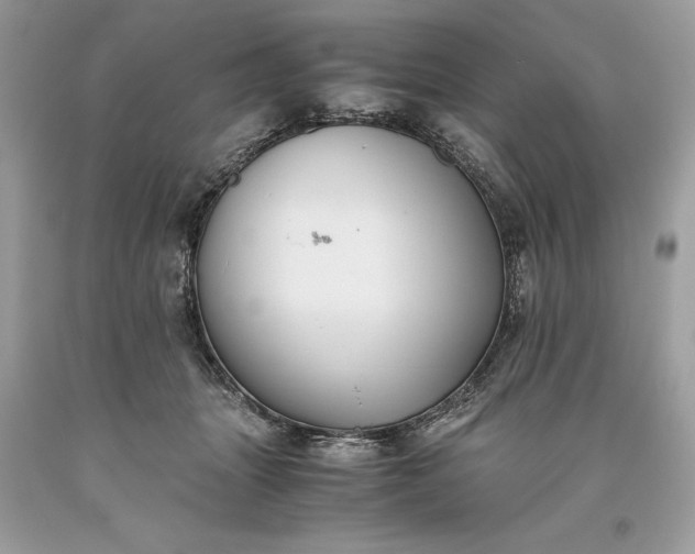 X0000093510463200710261201