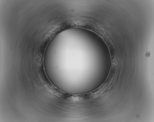 X0000093510464200710261201