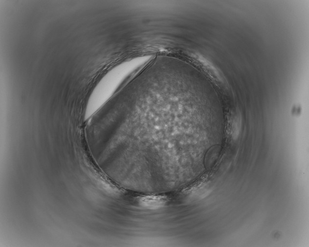 X0000093510465200710261201