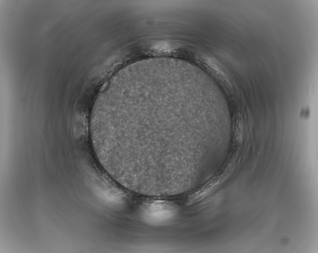 X0000093510467200710261201