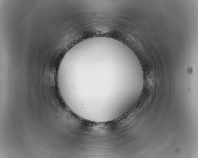 X0000093510468200710261201