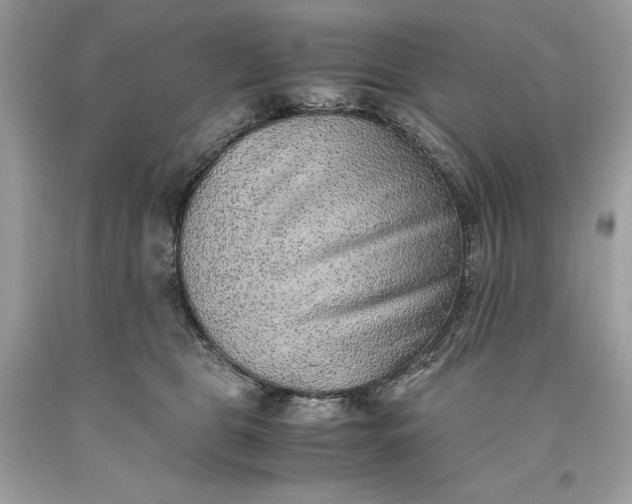 X0000093510469200710261201