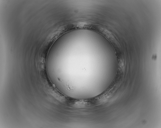 X0000093510470200710261201