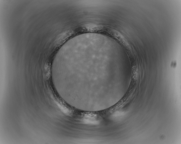 X0000093510471200710261201