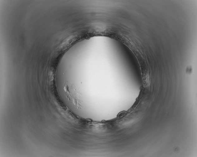 X0000093510472200710261201