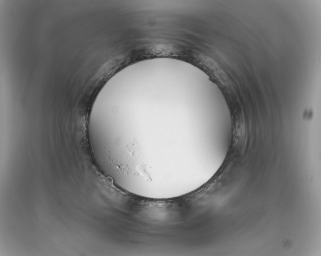 X0000093510473200710261201