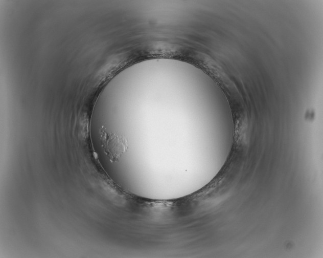 X0000093510474200710261201