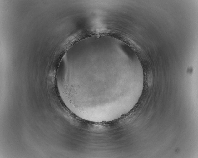 X0000093510475200710261201