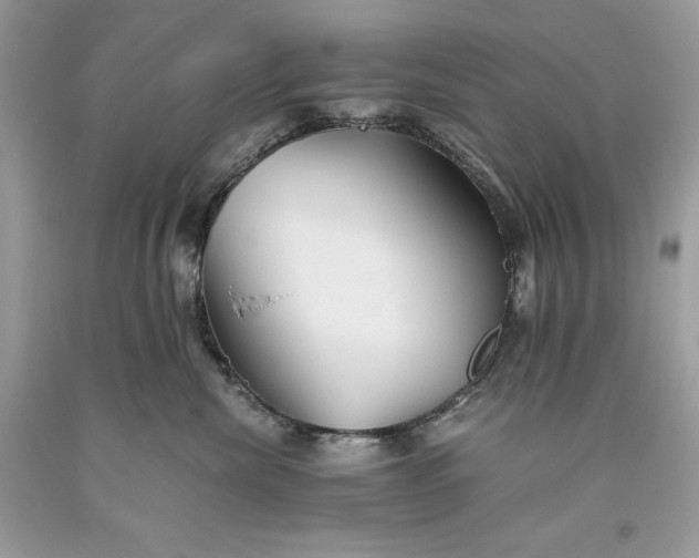 X0000093510476200710261201