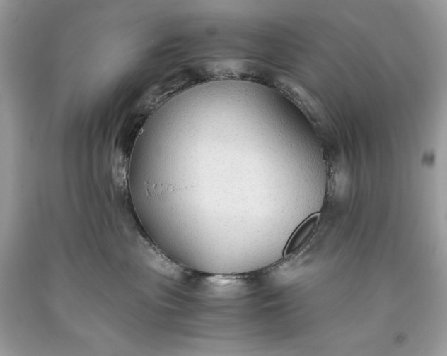 X0000093510477200710261201