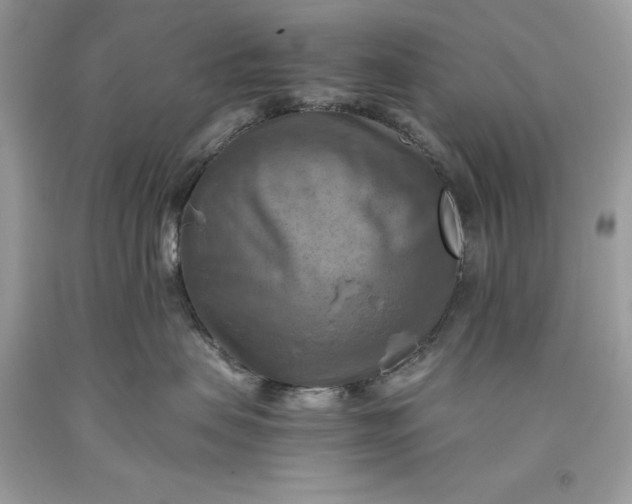 X0000093510479200710261201