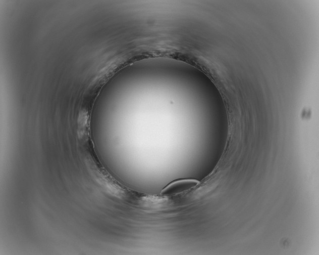 X0000093510480200710261201