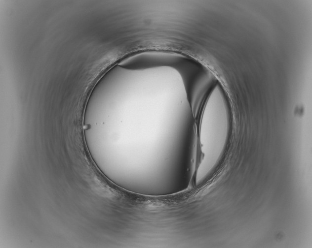 X0000093510481200710261200