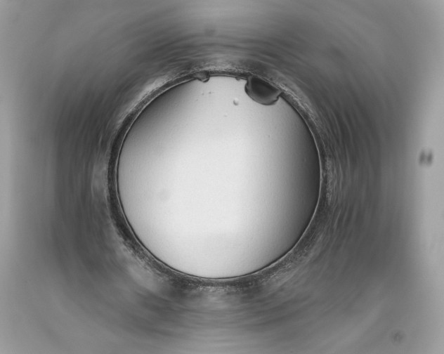 X0000093510482200710261200