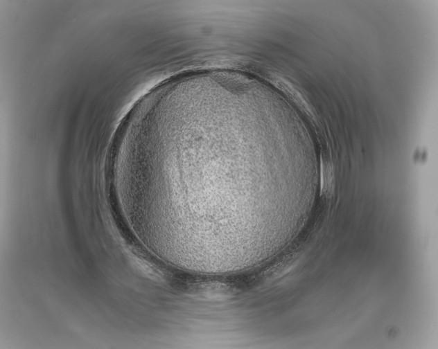 X0000093510483200710261200