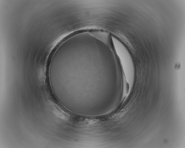 X0000093510484200710261200