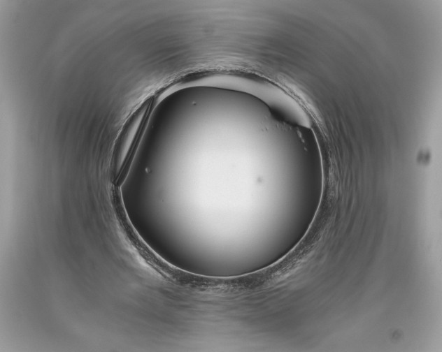 X0000093510485200710261200