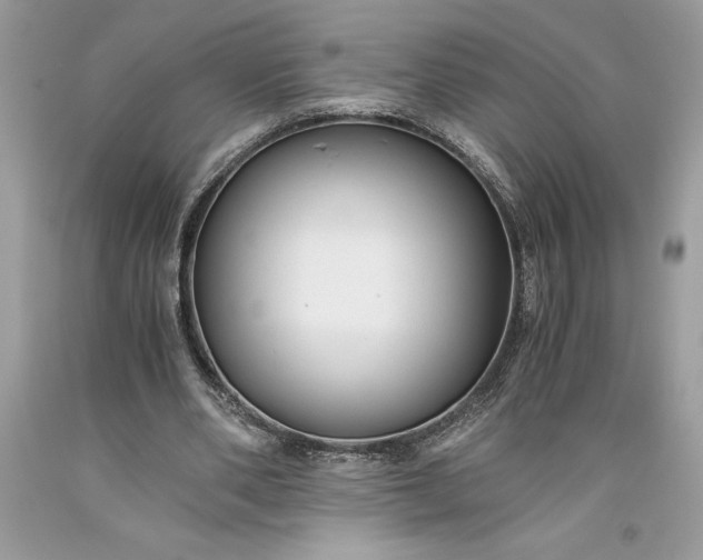 X0000093510486200710261200