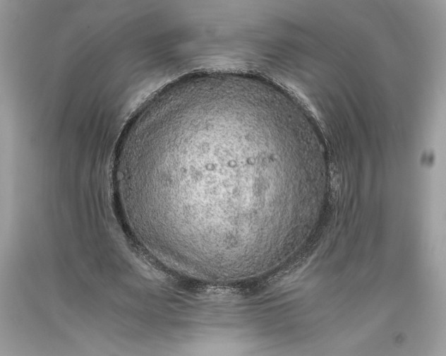 X0000093510487200710261200