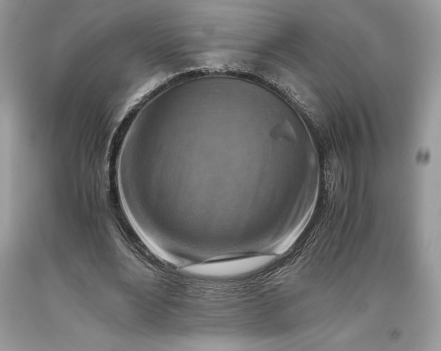 X0000093510488200710261200