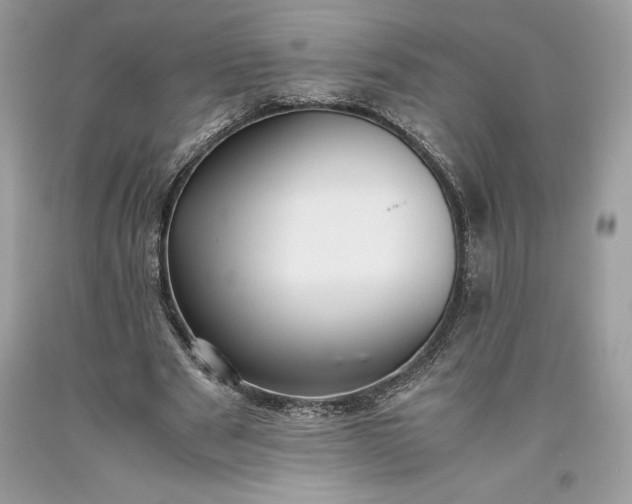 X0000093510489200710261200