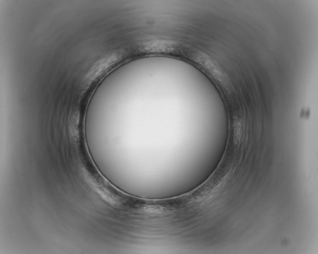 X0000093510490200710261200