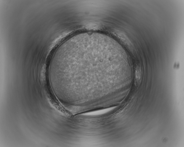 X0000093510492200710261200