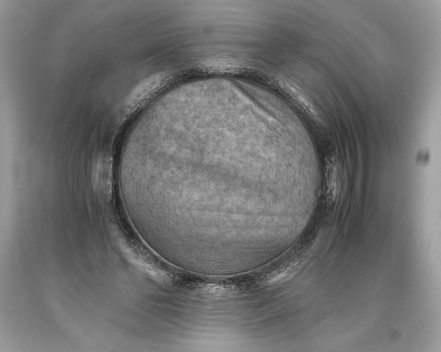 X0000093510494200710261200