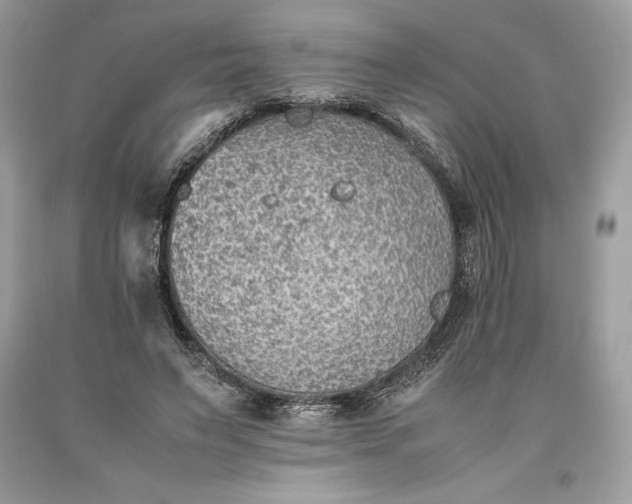 X0000093510495200710261200