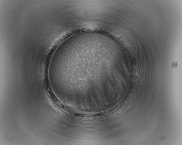 X0000093510496200710261200