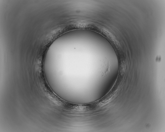 X0000093510497200710261200