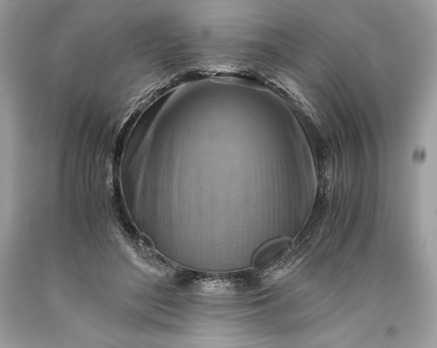 X0000093510500200710261200