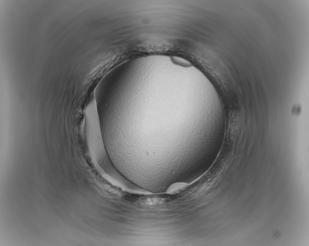 X0000093510501200710261200