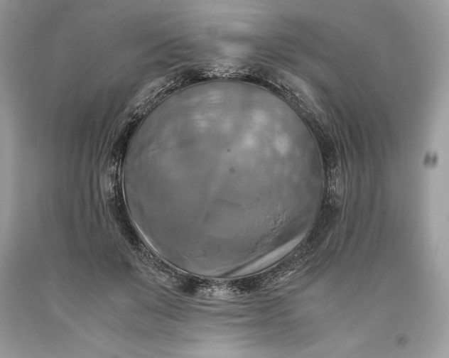 X0000093510503200710261200