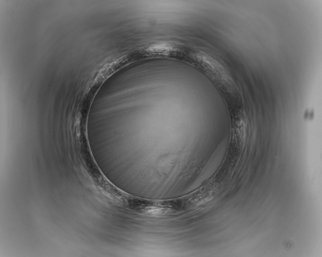 X0000093510504200710261200