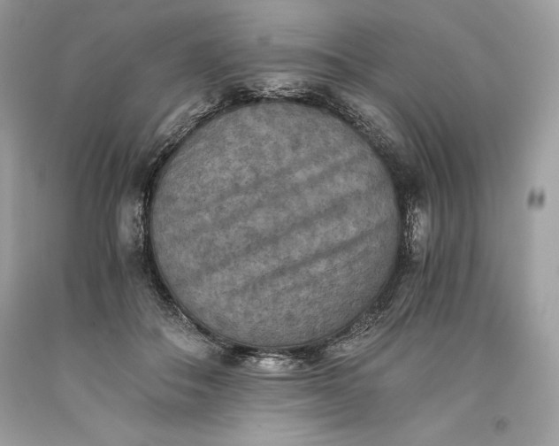 X0000093510506200710261200