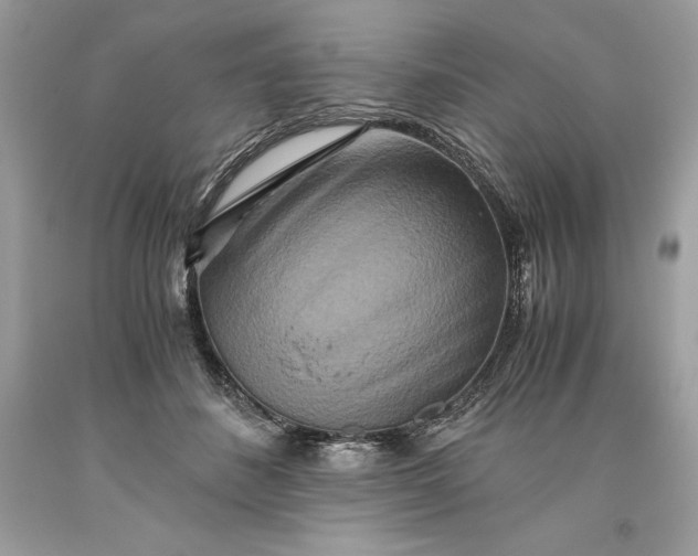 X0000093510508200710261200