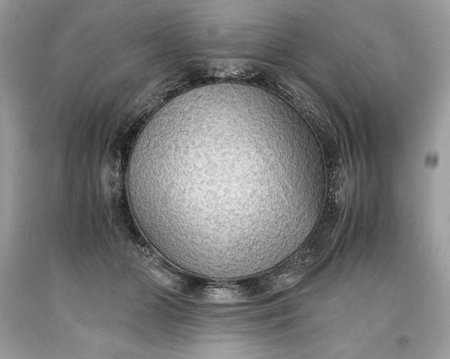 X0000093510510200710261200