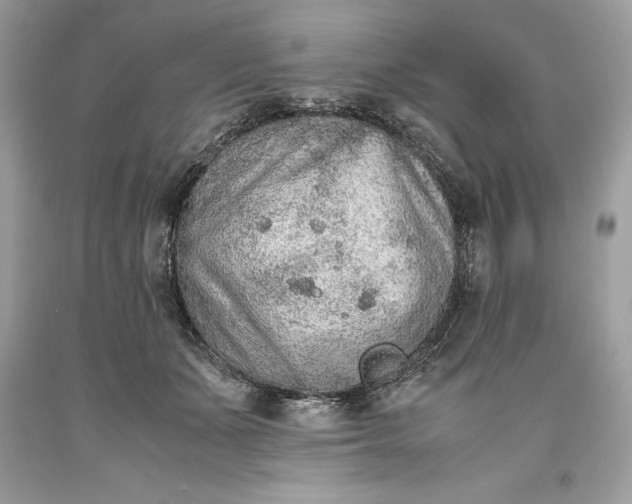 X0000093510511200710261200