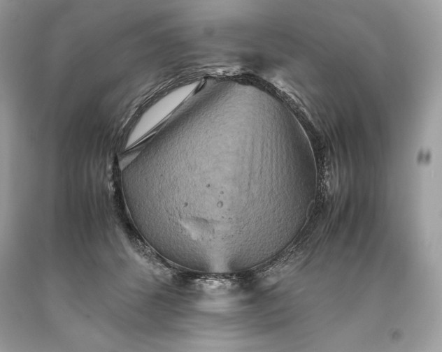 X0000093510512200710261200