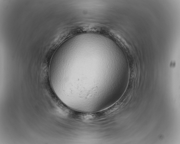 X0000093510513200710261200