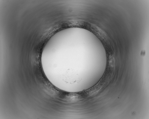 X0000093510514200710261200