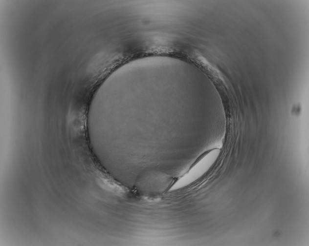 X0000093510517200710261200