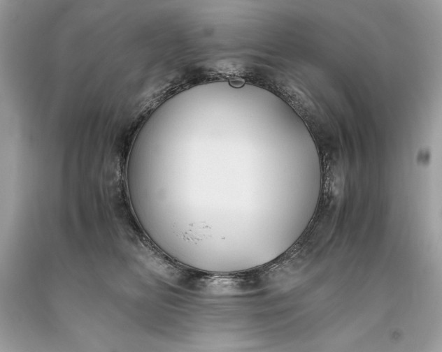 X0000093510518200710261200