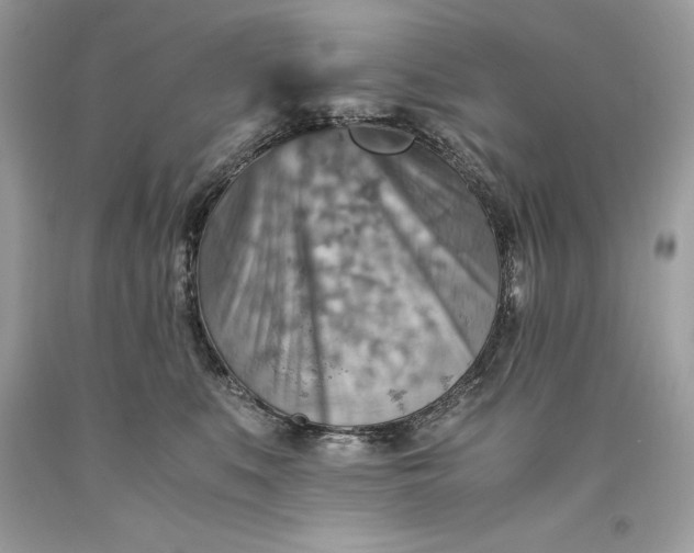 X0000093510519200710261200