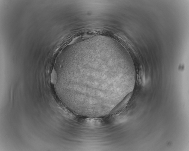 X0000093510520200710261200